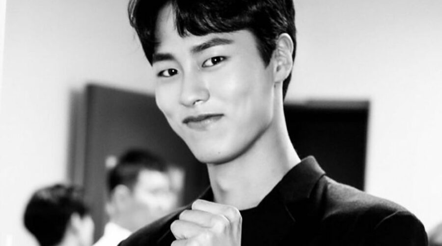 lee jae wook