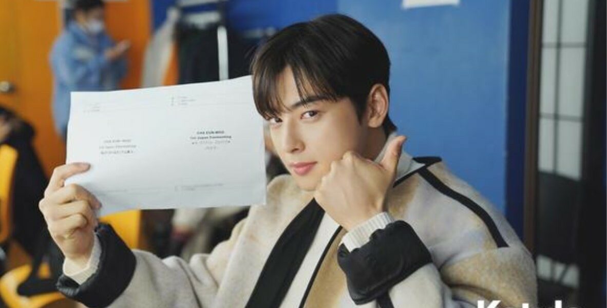 cha eun woo