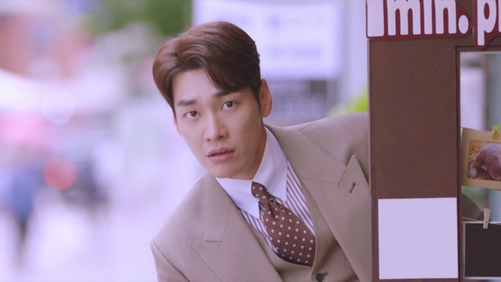 kim young kwang, the secret life of my secretary