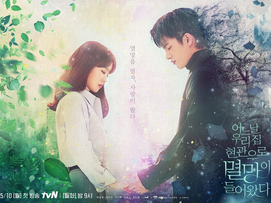K-Drama Doom at Your Service (tvN)