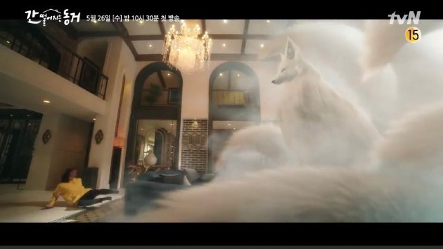 Gumiho si rubah ekor 9 (tvN)