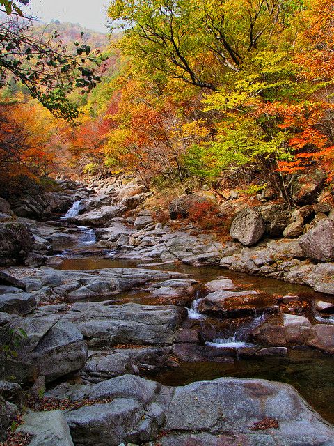 jirisan national park