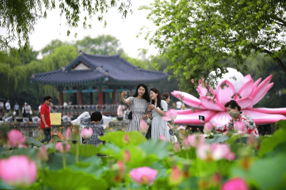 Festival Bunga Teratai Seodong Buyeo
