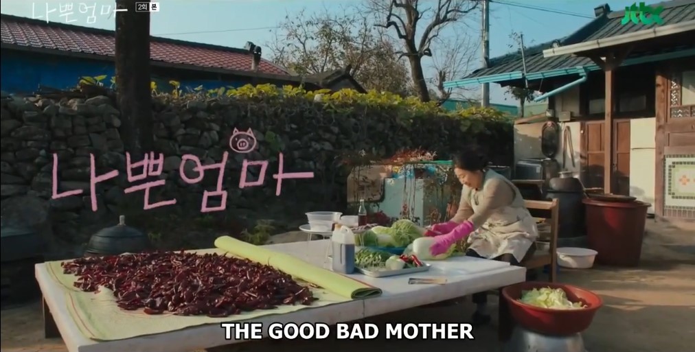 the good bad mother (jtbc)